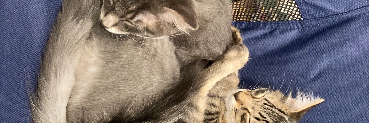 byerley_'s profile banner image