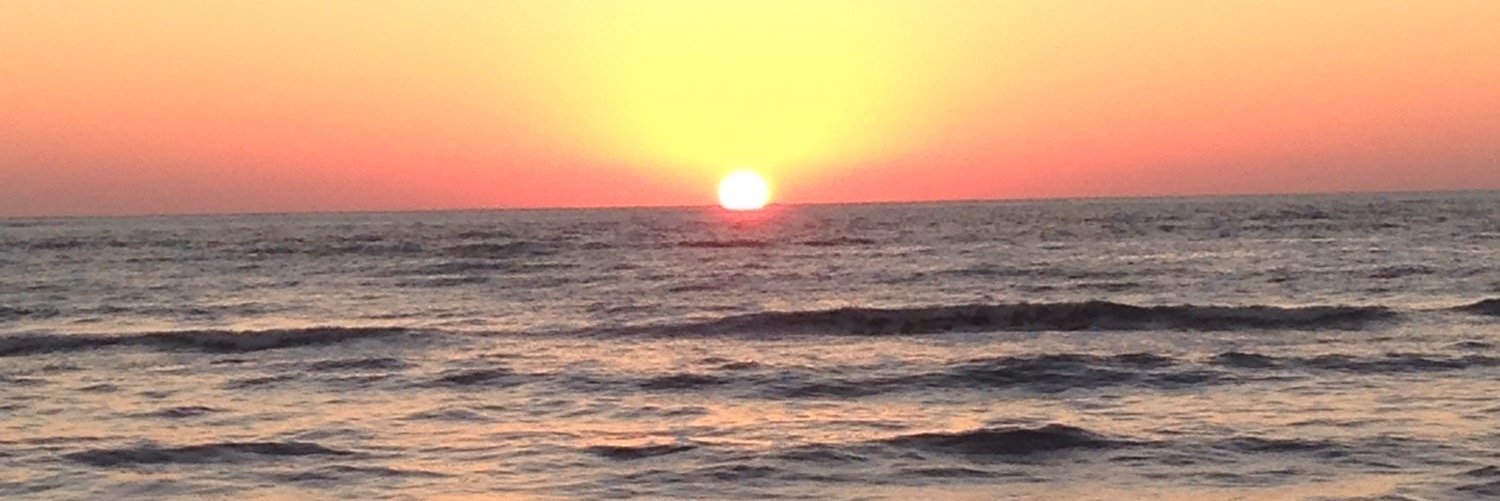 Meredith MacQueeney banner