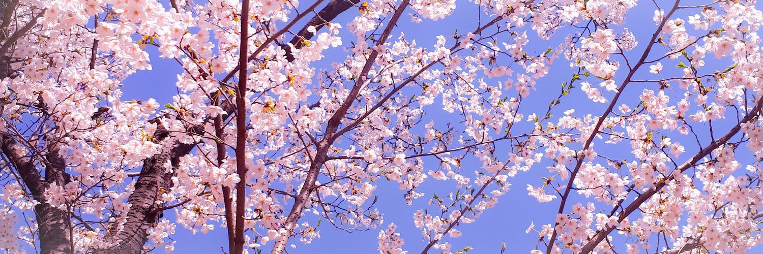 _rainywaltz's profile banner image