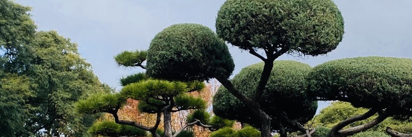bripppa's profile banner image