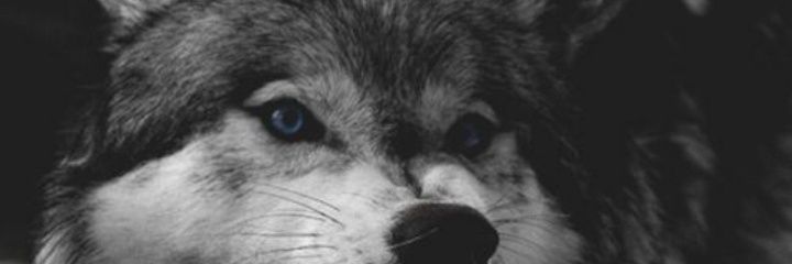 ปิดเเอคครับ อันฟอลได้เลย banner