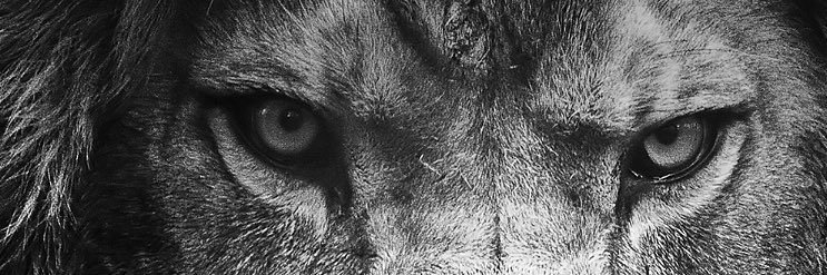mo_json's profile banner image