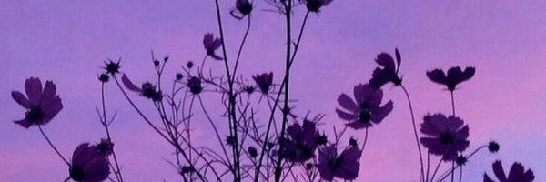 ✧Kirsten✧ Profile Banner