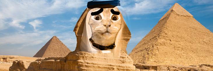 Crypto Leonardo Davinci banner