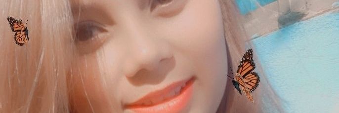 ALiz banner