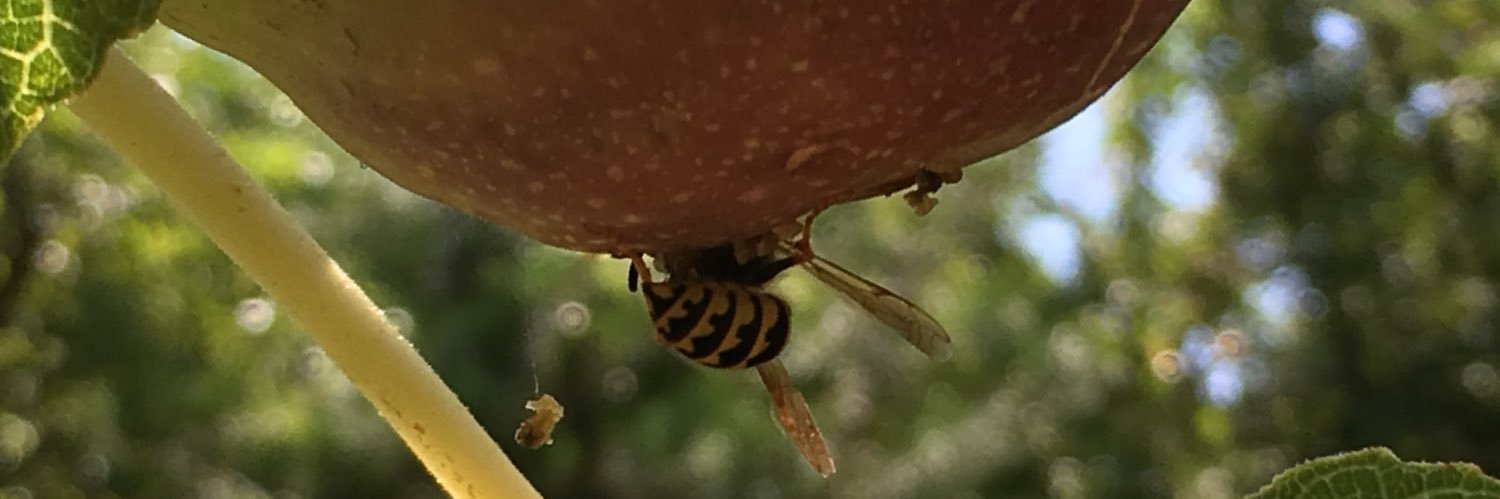 thisbabio's profile banner image
