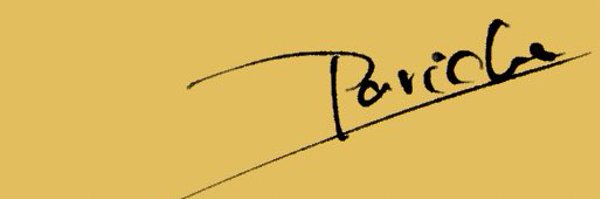 paricha08_ Profile Banner