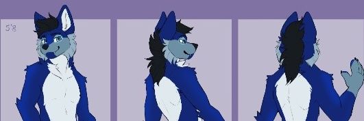 NickBluewolf's profile banner image