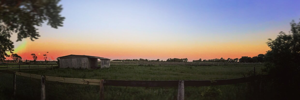 Diamond Donnie Azoff banner