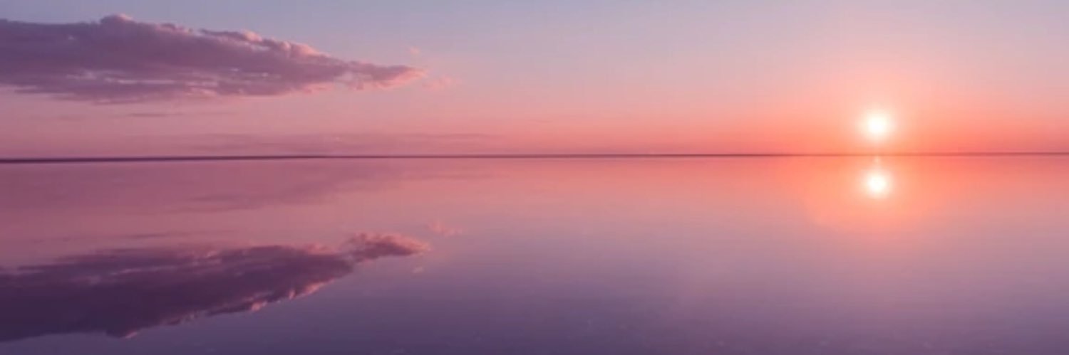 ToxicChaser ☣️ banner