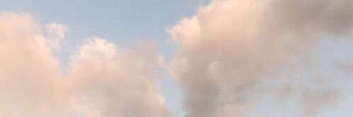 ni is UNIQUE!! banner