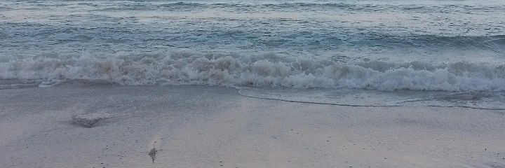 niapvtr's profile banner image