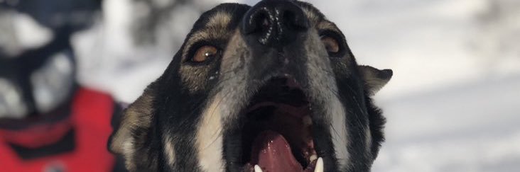 theautoficus's profile banner image