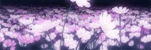 entirn banner