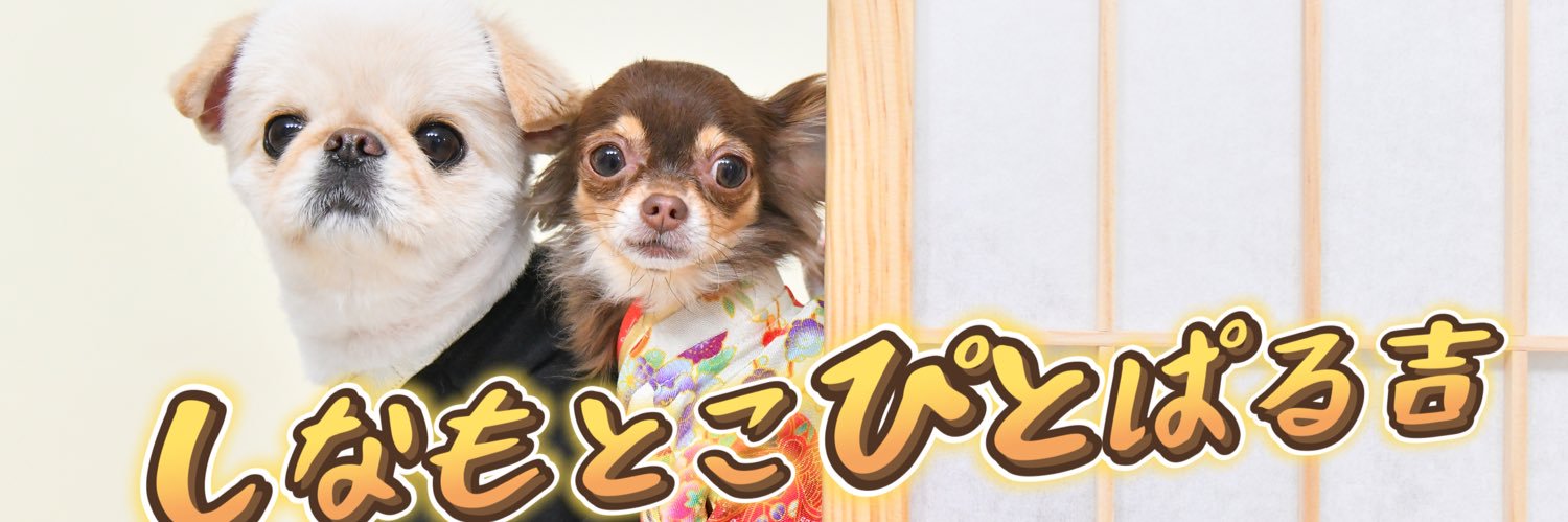 こぴぱる banner