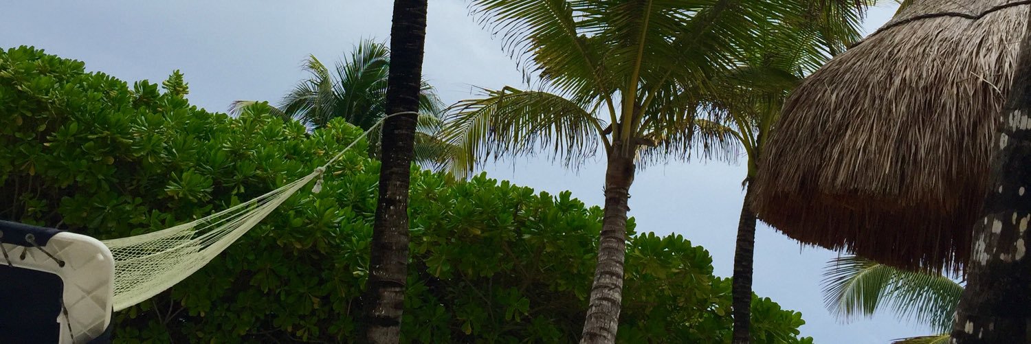 Zoya_OR's profile banner image