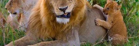 Мурат ММ banner