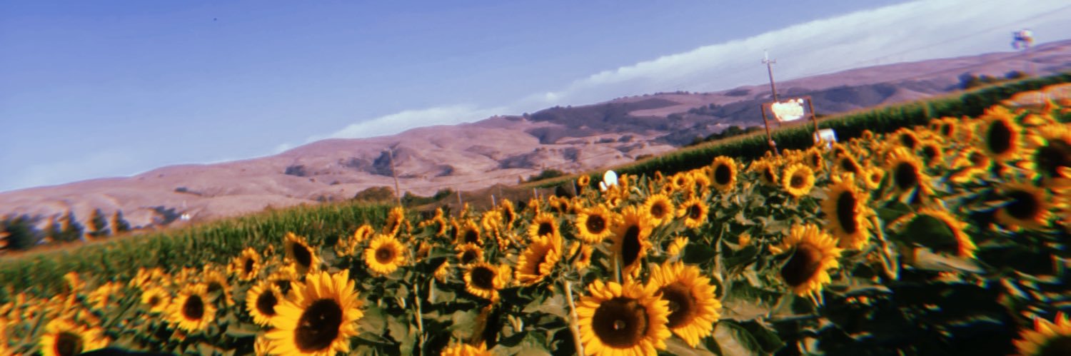 dulceebee's profile banner image
