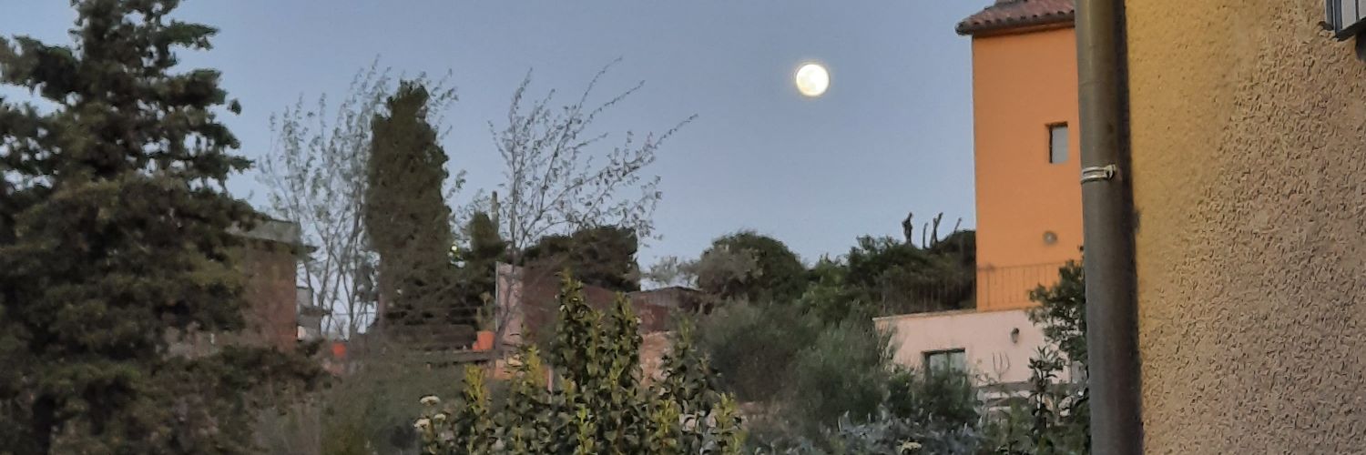 whutttff's profile banner image