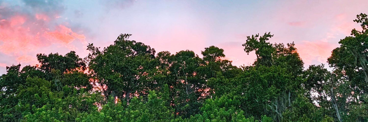 NutsSoup's profile banner image