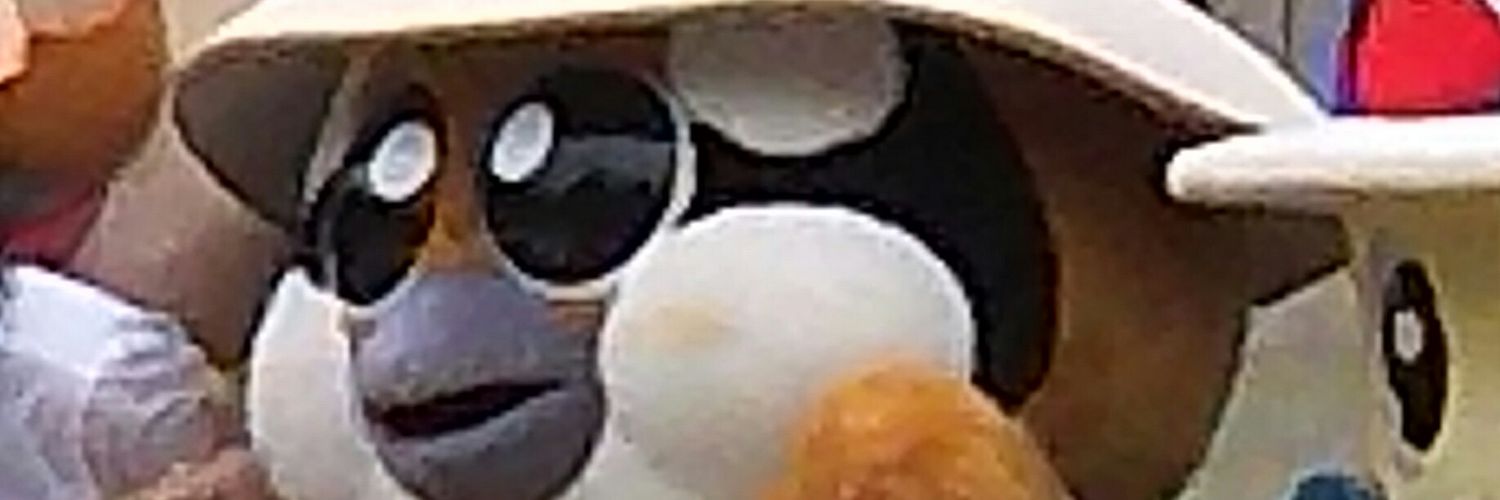 chhocho's profile banner image