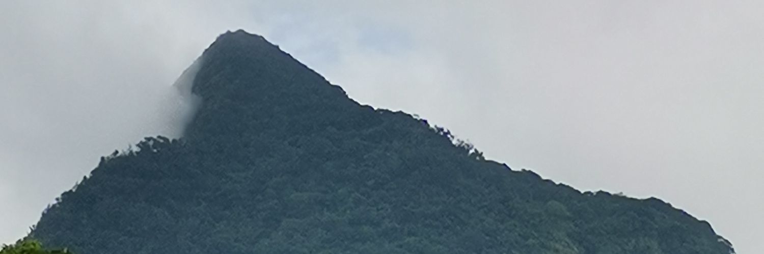 Traniboy's profile banner image
