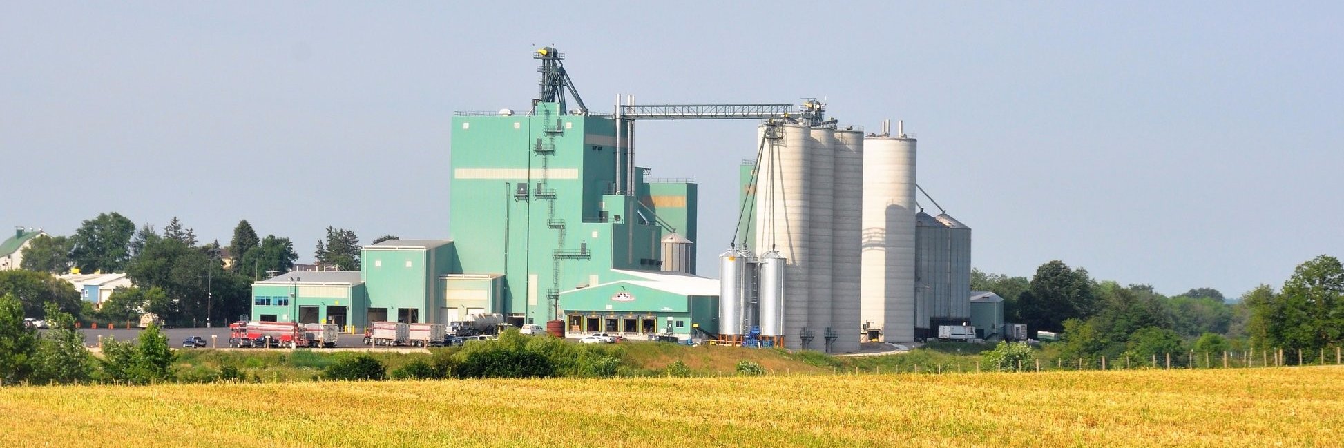 WallensteinFeed's profile banner image