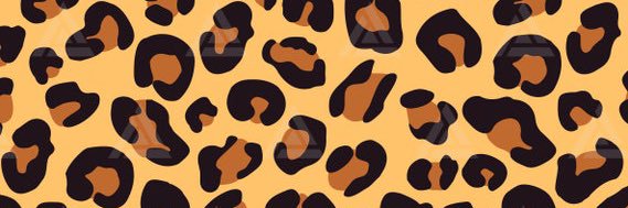 ✨Starry Night✨ banner