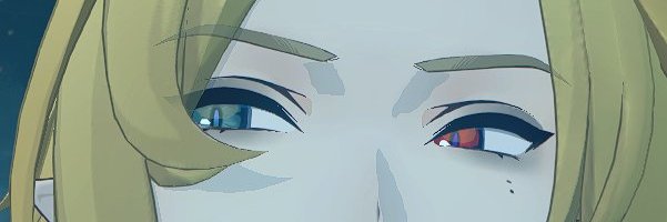 sanx banner