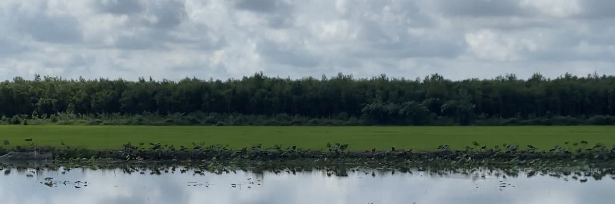 danh2502's profile banner image