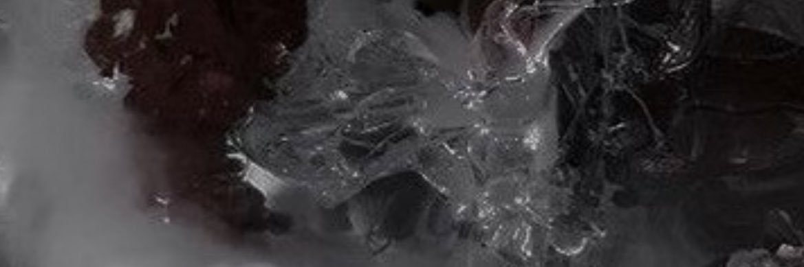 Skvnz1's profile banner image