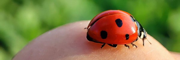 عکاس خیابانی🐞 Profile Banner