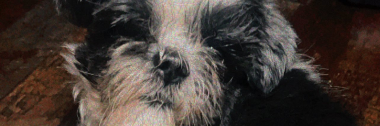 imMarckyMark's profile banner image