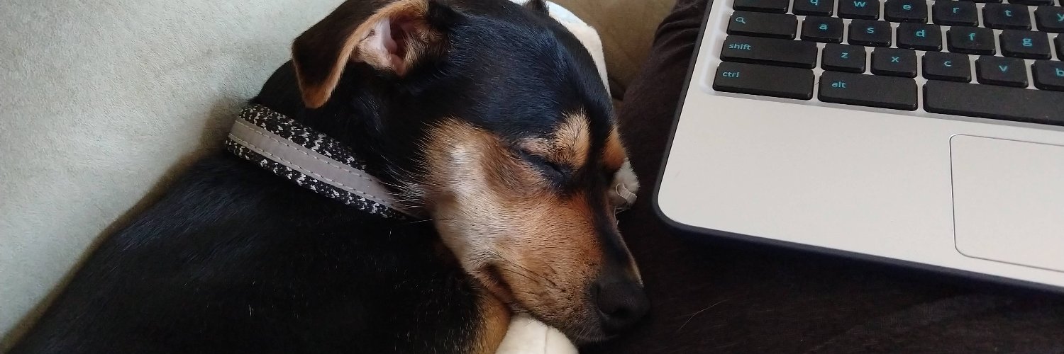 Sage (aka Jordan Meadows) banner