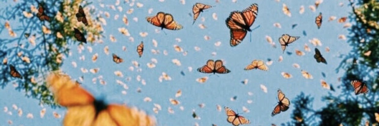AngeniWorley40's profile banner image