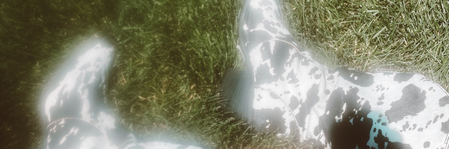 aspenjohnston's profile banner image