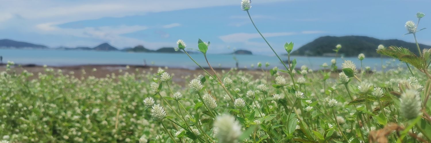 koiizko's profile banner image