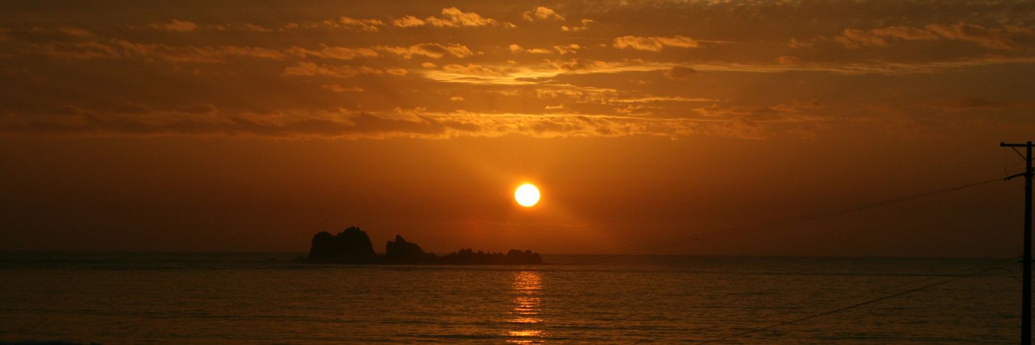 vanessamerlino1's profile banner image