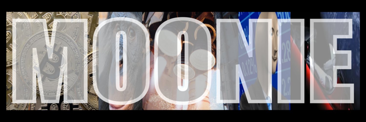 Moonie Moonstein banner