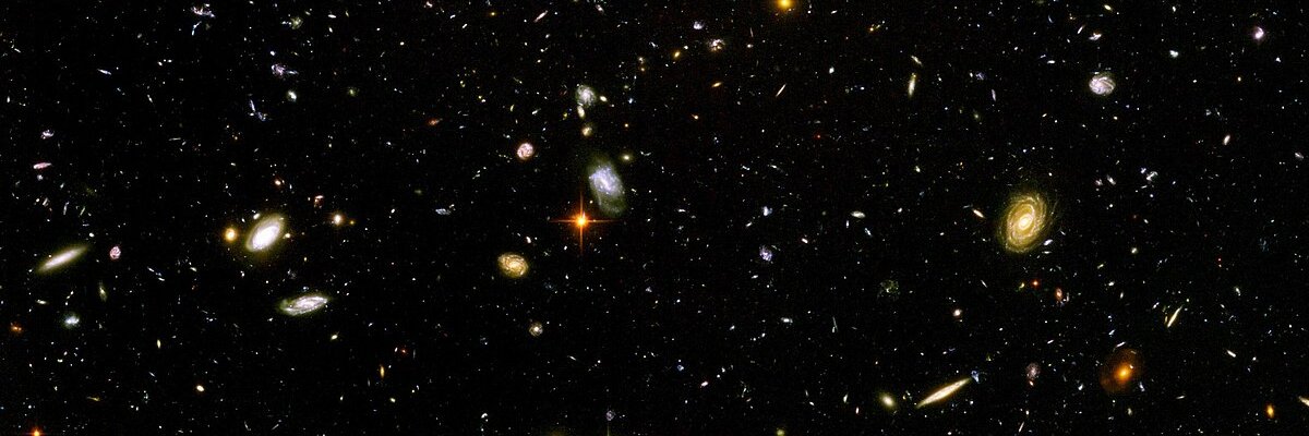 🐸TOAD.Network🐸 banner