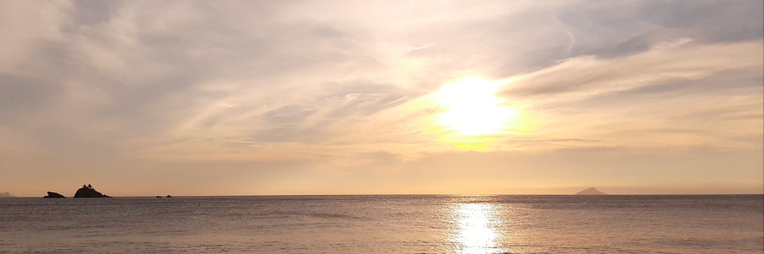 AnnaAfonso7's profile banner image