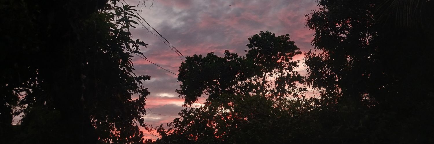 DemcoonL's profile banner image