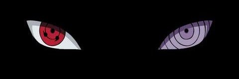 jay banner