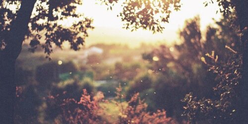 Proud_Mormon_'s profile banner image