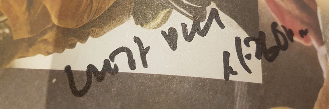 SaturnGalz's profile banner image