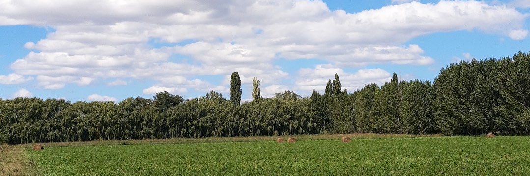 Orisavina's profile banner image