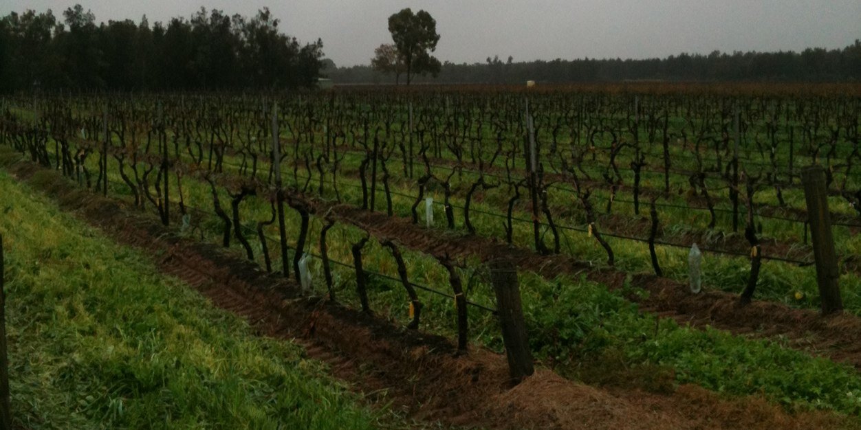 Michael Jappy banner