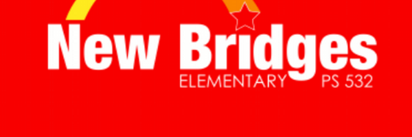 New Bridges Profile Banner