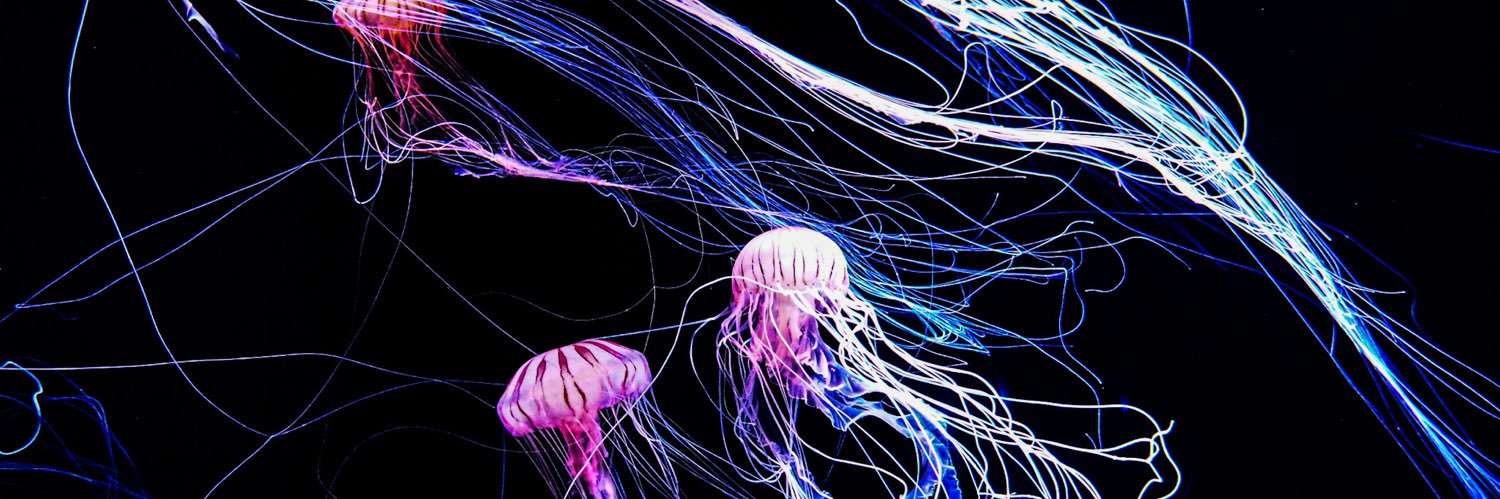 なお/パンダせんせー🐼🌕*.｡ banner