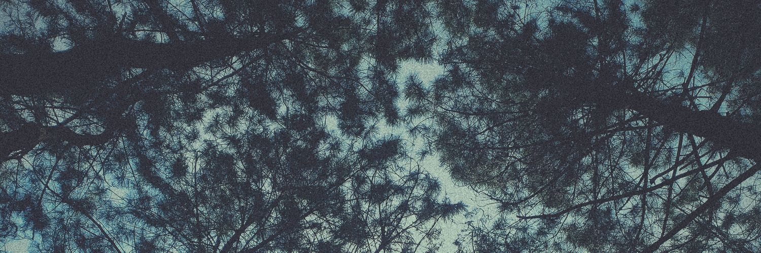 vkacu's profile banner image